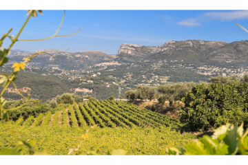 Domaine des sources
