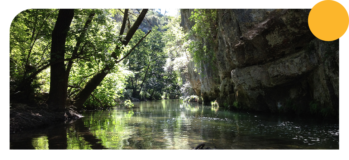 Les rives du Loup